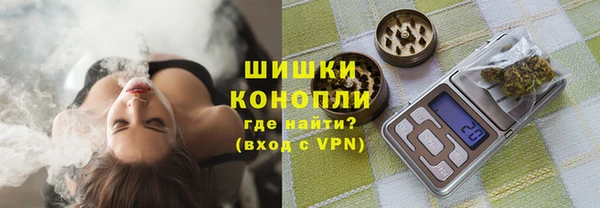 стаф Тында